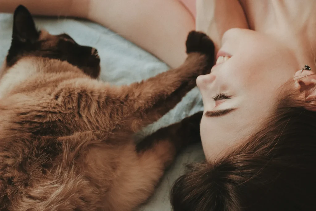 A brown Siamese cat lying next to a person.